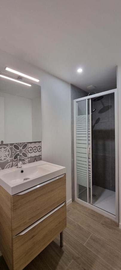 Chambres Avec Douche Privative Dans Appartement Partage - Metro - Wifi Toulouse Bagian luar foto